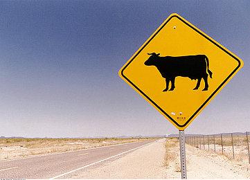 黑曜石艺术总监表示 《宣誓》“目标为30FPS”